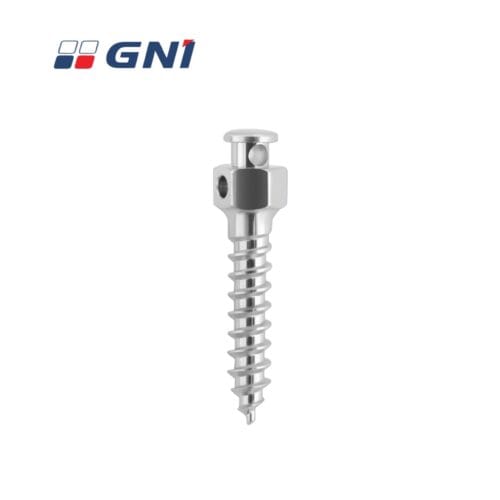 GNi Mini Screw